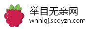 举目无亲网